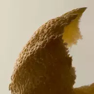Equalising Shampoo