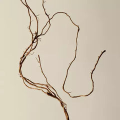 Déodorant
