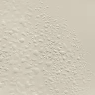 Reverence Aromatique Hand Wash
