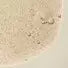 Reverence Aromatique Hand Wash